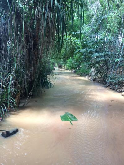 妖精を探して in ムイネー