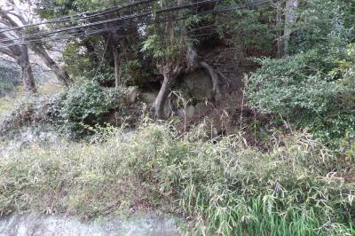 明月谷の旧道が道路から見えます