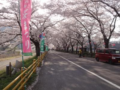 桜咲く奥大井で車中泊　その１　川根町家山の桜トンネルと桜まつり