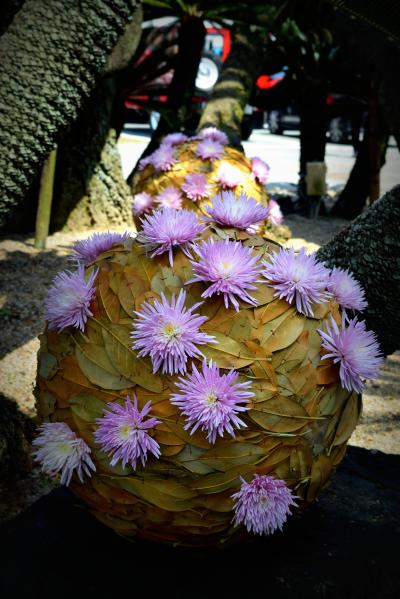 1　水郷柳川『御花』のニコライバーグマン　