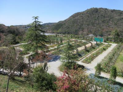 日本桜名所100選”高知県立鏡野公園”に花見～モネの庭散策１