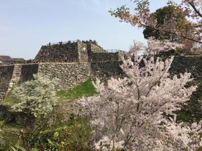 大和郡山城 桜まつりと時代行列