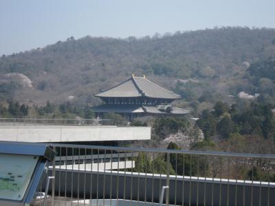 桜のなら町・高畑界隈