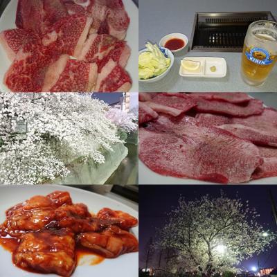 夜桜散歩と焼肉花見