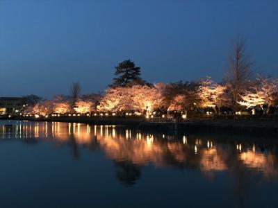 お花見（その２・長岡天満宮）