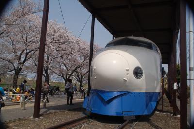 摂津市にある新幹線公園でお花見