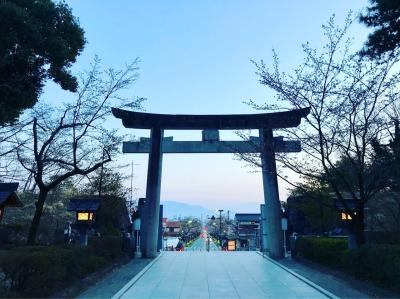 桜と共に…夕暮れ時の武田神社