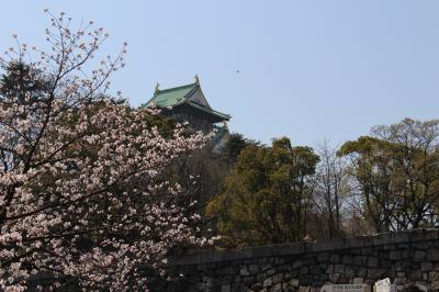 大阪城　癒しの桜とアフタヌーンティー