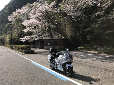 初めてのソロキャンプツーリング。