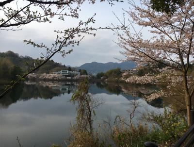 砥部オーベルジュでまったり 二日目