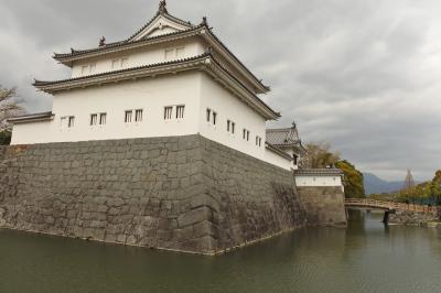 2018年3月：日本100名城の駿府城