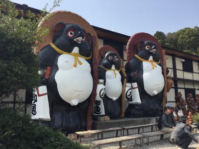 3度目のラコリーナと信楽散策と桜鑑賞