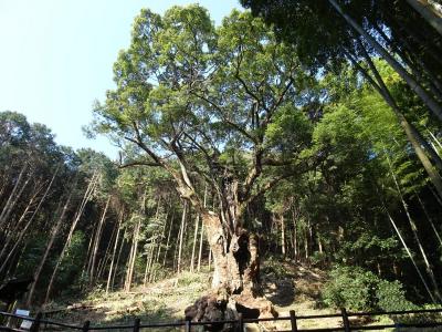 十数年ぶりの温泉旅行。佐賀、有田、二日目