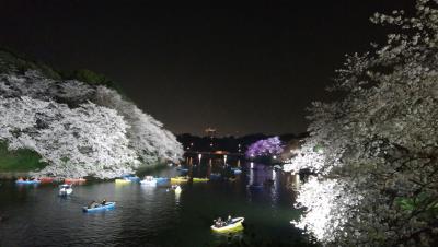 千鳥ヶ淵の夜桜