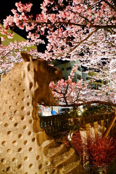 春の熱海。熱海桜とメジロと、グルメ！