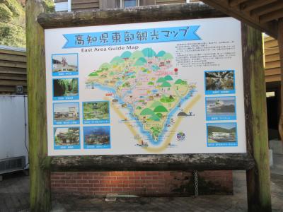 日本桜名所100選”高知県立鏡野公園”に花見～道の駅　大山