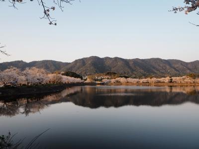 2018年3月、立岡（たちおか）自然公園へ花見に行ってきました。Ⅰ（立岡池～花しょうぶ園～花園池）