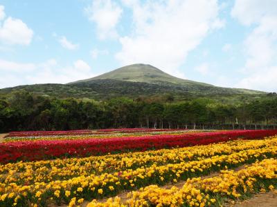 ２０１８　離島一人旅　八丈島