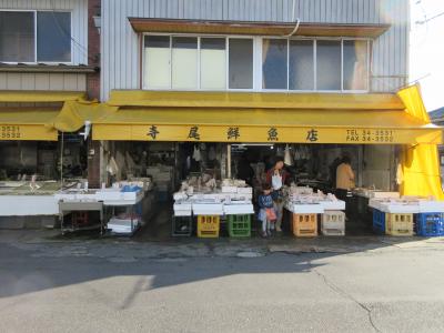 日本桜名所100選”高知県立鏡野公園”に花見～寺尾鮮魚店＆寺尾仕出し店でカツオの刺身、鯖寿司等買う