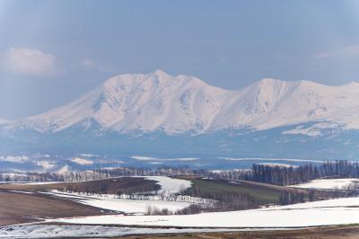 春の目覚めの美瑛・旭川