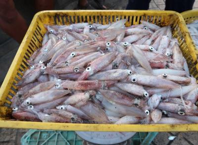 ♪お気に入りのプラチュワップキーリーカン　（2）