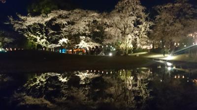 2018年富士山本宮浅間大社の夜さくら