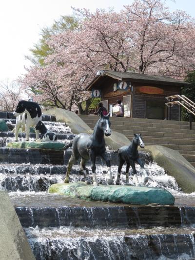 春のドライブ日和の埼玉こども動物自然公園（１）動物園でお花見しよう！＆無料開放日だったのに入り損ねたビアトリクス・ポター資料館