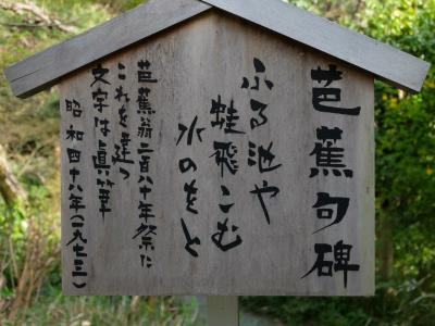 神田川の桜を眺めながら　寄り道散歩　中　芭蕉庵　