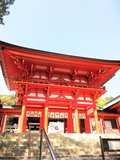 2018年3月　ちはやふる近江の春を楽しんできました。近江神宮　三井寺　琵琶湖疏水