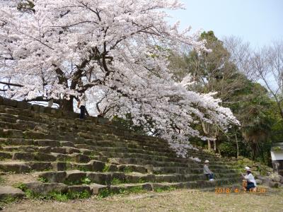 2018年4月2日・彦根城の桜（昼）