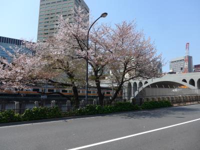 桜が散る前に弾丸日帰り花見ツアーin東京　Part5は御茶ノ水駅周辺の名所の桜花見!!　O(*^-^*)O 