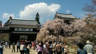 2018年信州上田、桜便り。