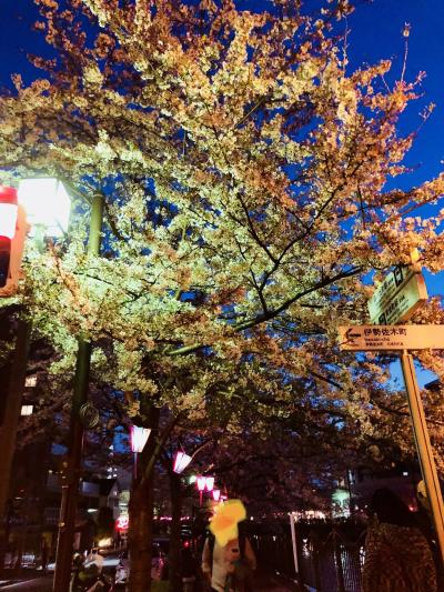 夜のお花見★女子会