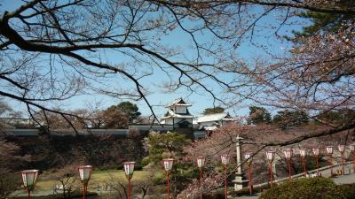 初！金沢。桜開花宣言の兼六園と金沢城をウォーキング