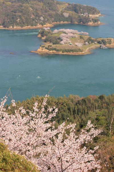 瀬戸内桜紀行２日目：日本のマチュピチュ（！？）別子銅山と村上水軍の居城跡が残る瀬戸内の無人島能島へ！