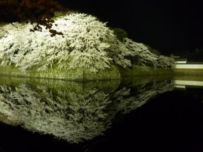 2018年4月2日・彦根城の桜（夜）と彦根バル