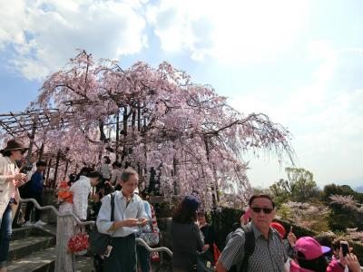 京都女子旅2