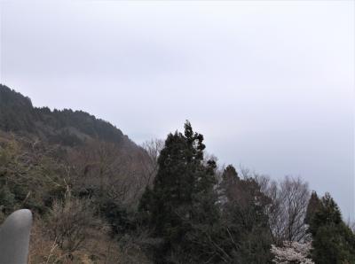道の駅　河野（福井県南越前町）で敦賀湾の撮影に失敗・・・