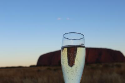 なんとかと煙は高いところを好む~エアーズロック登山~後編