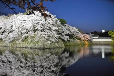 彦根城