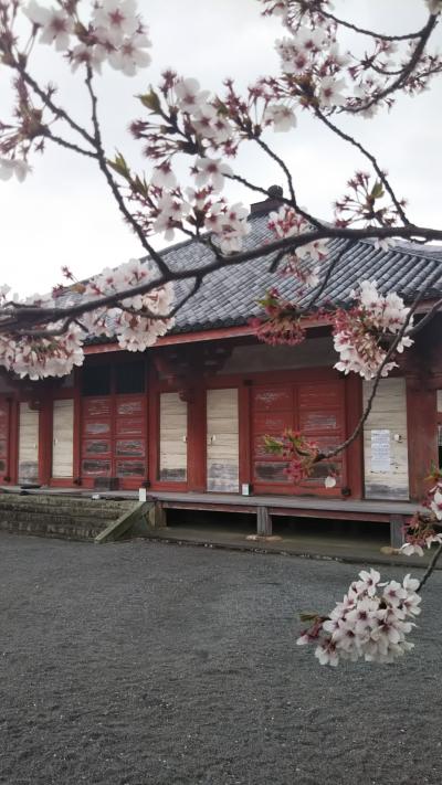 春の播磨路〜朝光寺・浄土寺〜