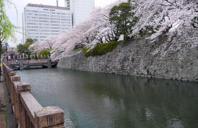 青春18キップで静岡へ　　静岡まつりに行ってきました