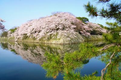 "行ってみたい日本の絶景"の一つ彦根城の桜を見に・・・＜前編＞
