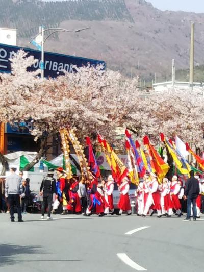 おっちゃんの釜山旅、ヨメといく鎮海サクラまつりと甘川文化村