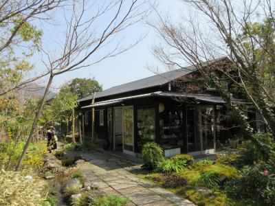 日本桜名所100選”高知県立鏡野公園”に花見～湖畔遊で昼食、温泉楽しむ