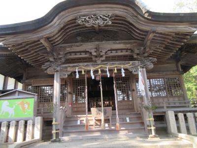 日本の桜名所100選”高知県立鏡野公園”に花見～八王子宮参拝・花見１