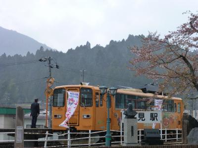 根尾東谷川沿いの桜を愉しむ・・・ルンルン♪（岐阜県・本巣市）