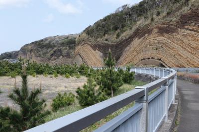 伊豆大島を日帰りで一周の旅