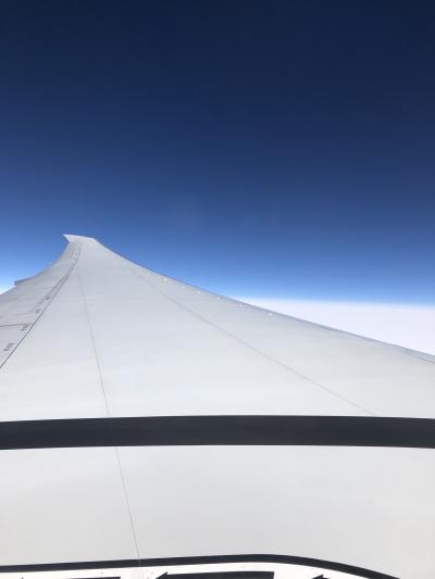 サンフランシスコ&amp;アリゾナ 2018 旅行記5 帰国編