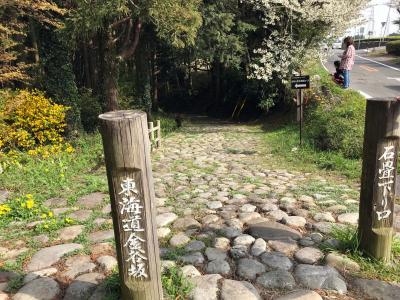 旧東海道石畳金谷坂を歩く